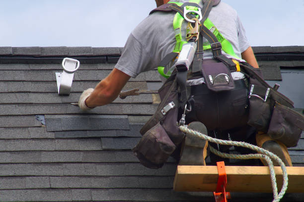Roof Gutter Cleaning in Clara City, MN