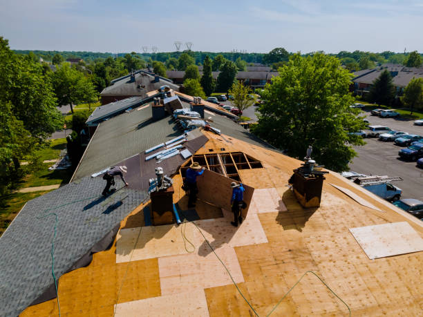 Best Commercial Roofing Services  in Clara City, MN