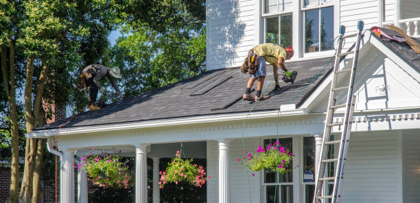 Best Residential Roof Replacement  in Clara City, MN