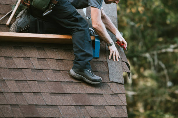 Best Roof Gutter Cleaning  in Clara City, MN